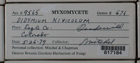 Image Associated With the Occurence